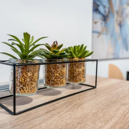 Murihaus 2 Apartment *