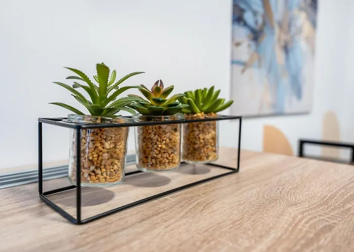 Murihaus 2 Apartment *